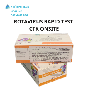 rota 6 2