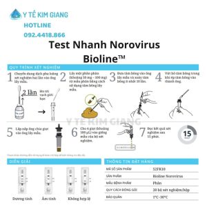 norovirus